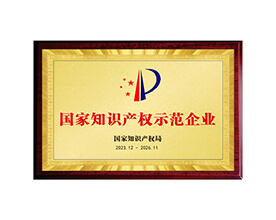 國家知識(shí)產(chǎn)權(quán)示范企業(yè)