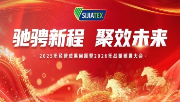 馳騁新程 聚效未來 | 思嘉集團經營成果回顧及戰略部署大會